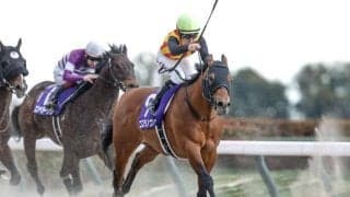 【今日の注目ポイント】武蔵野Sとデイリー杯2歳Sの2重賞