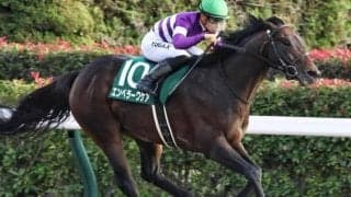 過去10年で1枠は馬券圏内なし 武蔵野Sで注目すべき条件とは