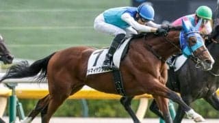 【デイリー杯2歳S】今年は8頭立て 少頭数でも朝日杯FSに向けて見逃せない