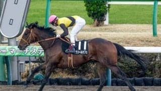 【武蔵野S予想】芝スタートのワンターン チャンピオンズCとは切り分けて考えたい一戦