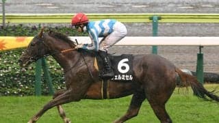 【競馬予想】エリザベス女王杯は人気薄馬の血統も要チェック　本命の有馬記念馬レガレイラに対抗しそうな２頭は？