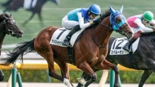 デイリー杯2歳Sは決め手比べが濃厚 アドマイヤクワッズの差し切りだ