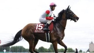 【エリザベス女王杯予想】距離やGIなど今回は初物尽くし 前走内容も高く評価しづらい人気馬とは