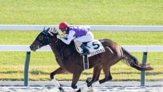 【新馬/京都6R】断然人気プリンセスモコが快勝…北村友は新馬連勝