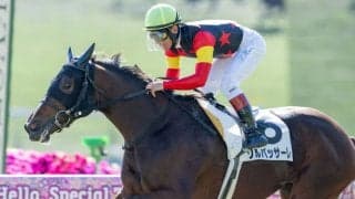 【京都4R】キズナ産駒 ソルパッサーレが6馬身差圧勝