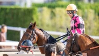 【京都2R】武豊スマートジュリアスが断然の支持に応える