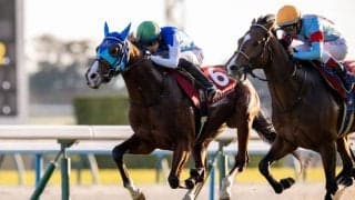 WIN5は1200万円超の払戻し…デイリー杯はアドマイヤクワッズがV