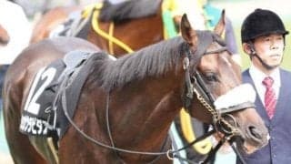 【ドンカスターC】セレクト2.2億円のショウナンラピダス 待望のオープン入りなるか