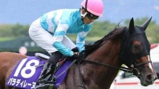 京都芝はキズナ産駒が好調 エリザベス女王杯はパラディレーヌで勝負だ