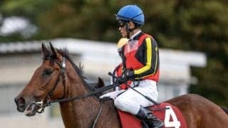 【AI予想・エリザベス女王杯】秋初戦を快勝しますます順調！ 昨年のリベンジへ人工知能も太鼓判