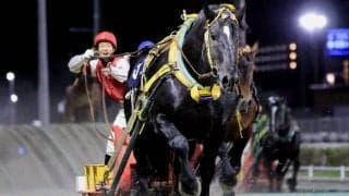 【ばんえい十勝】重賞2勝のインビクタ号が死亡