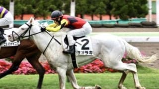 白毛馬アオラキが予後不良…土曜福島8Rで競走中止