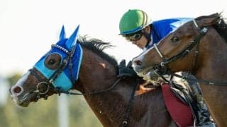 【デイリー杯2歳S】坂井瑠「力通りだと思います」アドマイヤクワッズがデビュー2連勝