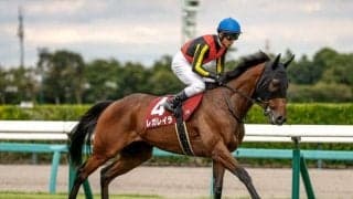 【今日の注目ポイント】秋の女王決定戦エリザベス女王杯