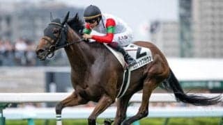 【エリザベス女王杯予想】下半期の最強女王決定戦 瞬発力が勝負を分ける