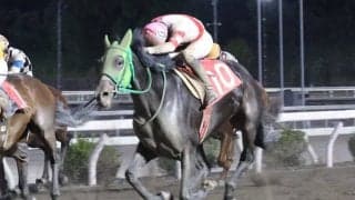 【高知・土佐寒蘭特別】7番人気ピースドライブが豪快差し切りV…6戦目で準重賞初制覇