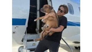 山本由伸、愛犬の名前を“初公開”「カルロス」　SNS更新…「友達はデコピン」