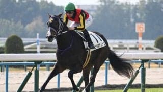 エリザベス女王杯は外伸び馬場を生かせる2頭に注目