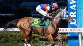 【川崎・ローレル賞枠順】トライアルを制したアンジュルナは6枠8番