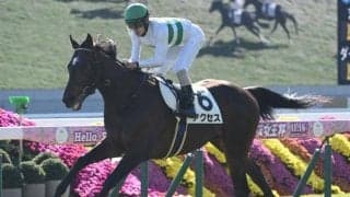 【京都5R新馬戦結果】キセキ産駒アクセスが人気に応えて完勝