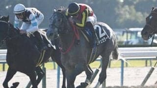 【黄菊賞結果】ノチェセラーダがゴール前で差し切り2連勝