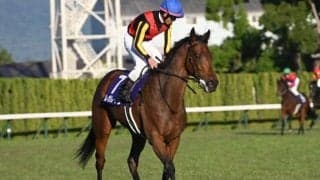 【JRA・WIN5】本日のWIN5は的中1364票、配当36万6090円