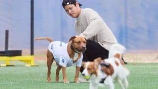 「#友達はデコピン」山本由伸が愛犬の名前を初披露　「散歩、昼寝、ご飯が大好き」　210万人超フォロワー大興奮「陰のMVP」