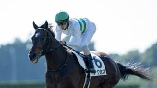 【新馬/京都5R】キセキ産駒 アクセスが出遅れも3馬身差完勝