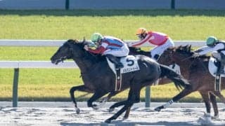 【新馬/京都4R】コパノキッキング半弟、メルカントゥールがデビューV