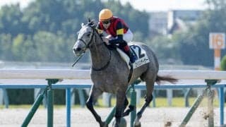 【京都3R】エイシンティザーが初勝利…断然人気アルヴァンドルードは2着