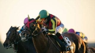 【ドンカスターC 】C.ルメール騎乗 ガイアメンテが人気に応える