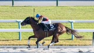 【天橋立S】C.デムーロが本日の4勝目…トリポリタニアで人気に応える