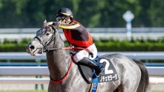 【黄菊賞】C.デムーロ流石の騎乗で6番人気ノチェセラーダがV