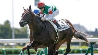 【東スポ杯2歳S】パントルナイーフ、ストームサンダーらが登録