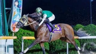 【佐賀・ウインターチャンピオン結果】オオイチョウが3馬身差完勝で重賞初制覇