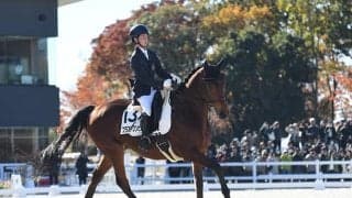 引退競走馬が躍動する「RRC FINAL 2025」 大会を楽しむためのポイントとは？