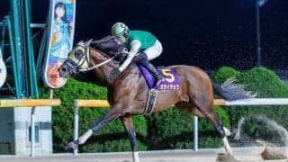 【佐賀・ウインターチャンピオン】オオイチョウが3馬身差の完勝で重賞制覇