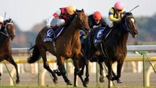 最後の海外馬勝利は20年前 アルカセットが制したジャパンカップ