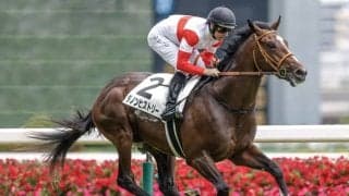 【東スポ杯2歳S見どころ】器大きいダノンヒストリー