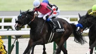 【福島記念見どころ】イングランドアイズが重賞2勝目を狙う