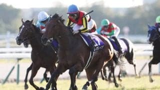 【エリザベス女王杯】ジョッキーカメラに見たレガレイラ・戸崎圭太のブレない映像に、ファン感嘆「ベリベリジョッキー」