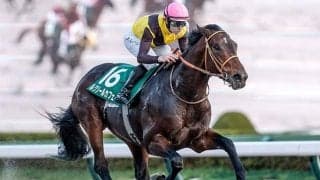 【武蔵野S】売上は42億1785万2200円で昨年より約4.1億円増加