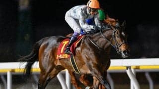 【先週のJRA抹消馬】ダート重賞3勝のオーサムリザルト、2戦2勝で引退のフィロステファニなど