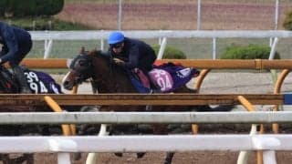 おじはダービー馬シャフリヤール 月曜東京で初陣迎えるグラスベルグ/関西馬メイクデビュー情報