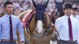 マイルCSと好相性のハービンジャー産駒 チェルヴィニアが復活Vなるか