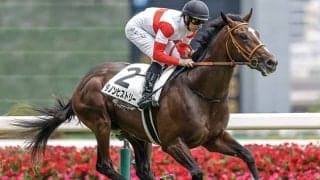 【東スポ杯2歳S想定騎手】ダノンヒストリーはD.レーン騎手、ゾロアストロはT.マーカンド騎手