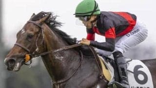 【東スポ杯2歳S】シスキン産駒の大器 新馬圧勝のライヒスアドラーが無敗戴冠狙う