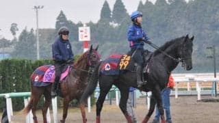 近親に米G1馬がいるノーブルサヴェージ 森一師「いい脚を長く使えそう」/関東馬メイクデビュー情報