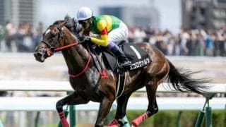 【福島記念展望】データが後押し、4歳馬エコロヴァルツが中心