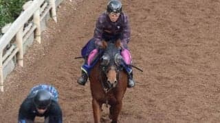 アンティフォナの2023(ラミアスペランツァ)など、先週の入厩情報/栗東トレセンニュース